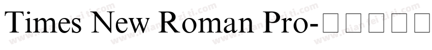Times New Roman Pro字体转换